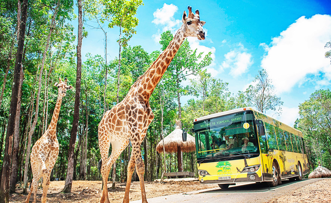 Vinpearl Safari野生動物園